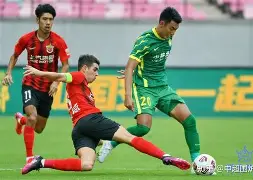 ayx爱游戏官网-森林狼在哪个城市