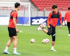 森林狼在哪个城市 森林狼在哪个城市